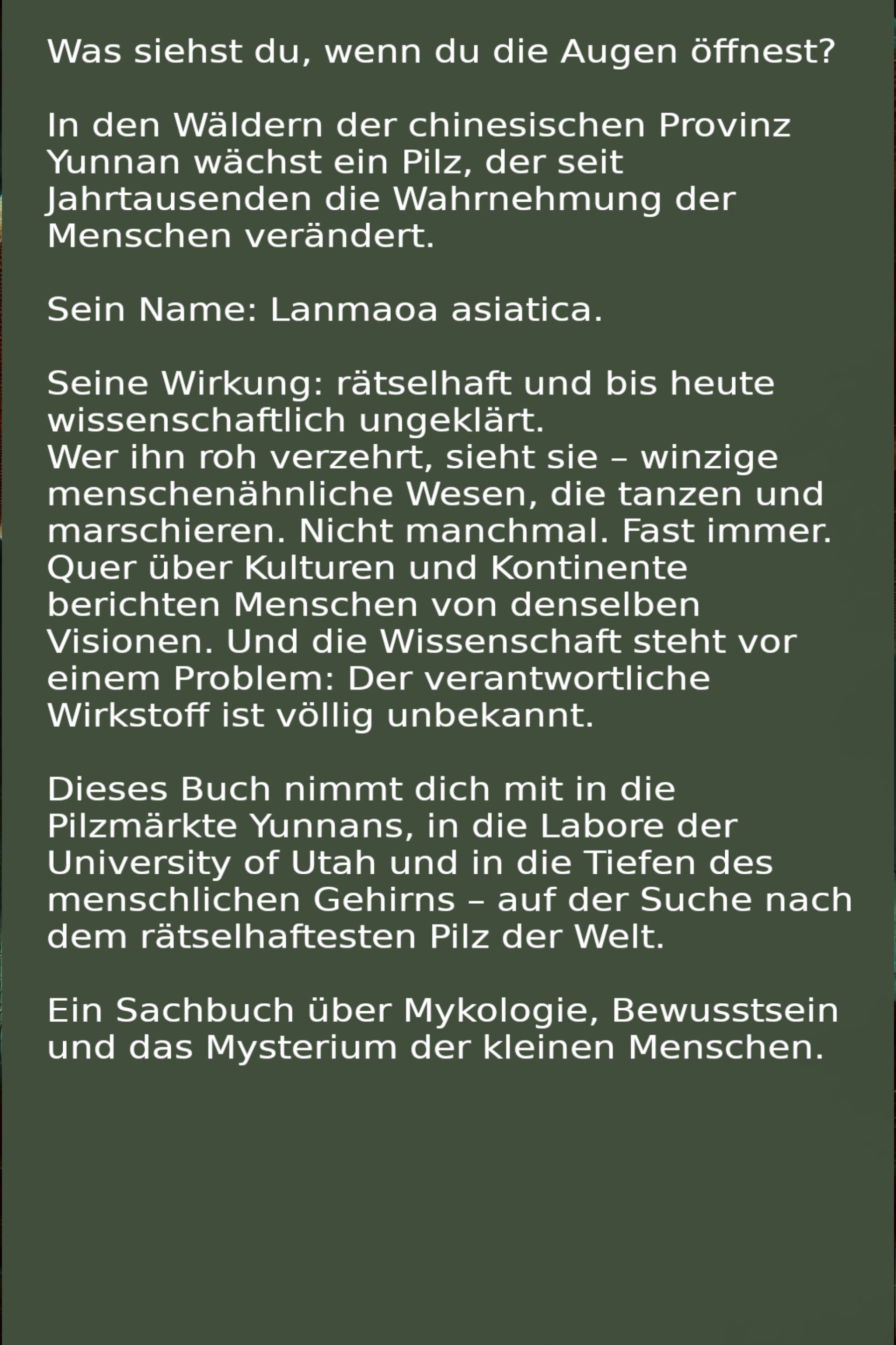 Der Pilz der kleinen Menschen – Backcover